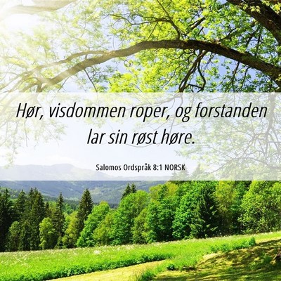 Picture 06 - Salomos Ordspråk 8:1 NORSK - Hør, visdommen roper, og forstanden lar sin - Bible Verse Picture