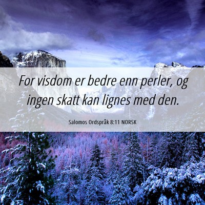 Picture 06 - Salomos Ordspråk 8:11 NORSK - For visdom er bedre enn perler, og ingen skatt - Bible Verse Picture