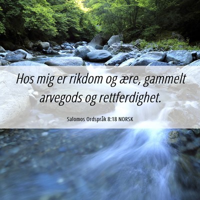 Picture 06 - Salomos Ordspråk 8:18 NORSK - Hos mig er rikdom og ære, gammelt arvegods og - Bible Verse Picture