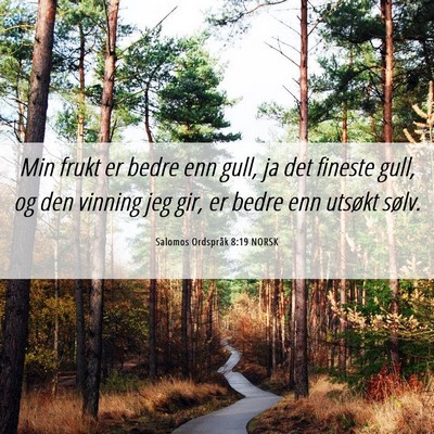 Picture 06 - Salomos Ordspråk 8:19 NORSK - Min frukt er bedre enn gull, ja det fineste gull, - Bible Verse Picture