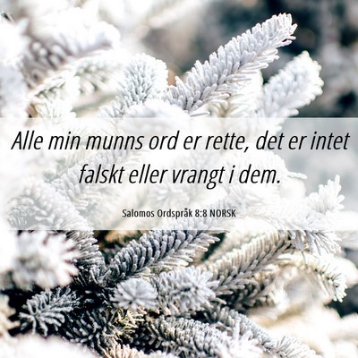 Picture 06 - Salomos Ordspråk 8:8 NORSK - Alle min munns ord er rette, det er intet falskt - Bible Verse Picture