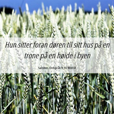 Picture 06 - Salomos Ordspråk 9:14 NORSK - Hun sitter foran døren til sitt hus på en trone - Bible Verse Picture