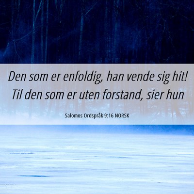 Picture 06 - Salomos Ordspråk 9:16 NORSK - Den som er enfoldig, han vende sig hit! Til den - Bible Verse Picture