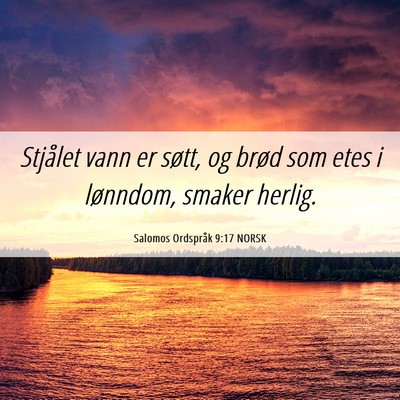 Picture 06 - Salomos Ordspråk 9:17 NORSK - Stjålet vann er søtt, og brød som etes i - Bible Verse Picture