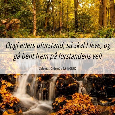 Picture 06 - Salomos Ordspråk 9:6 NORSK - Opgi eders uforstand, så skal I leve, og gå - Bible Verse Picture