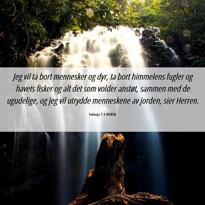 Picture 06 - Sefanja 1:3 NORSK - Jeg vil ta bort mennesker og dyr, ta bort - Bible Verse Picture