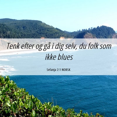 Picture 06 - Sefanja 2:1 NORSK - Tenk efter og gå i dig selv, du folk som ikke - Bible Verse Picture