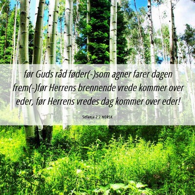 Picture 06 - Sefanja 2:2 NORSK - før Guds råd føder(-)som agner farer dagen - Bible Verse Picture