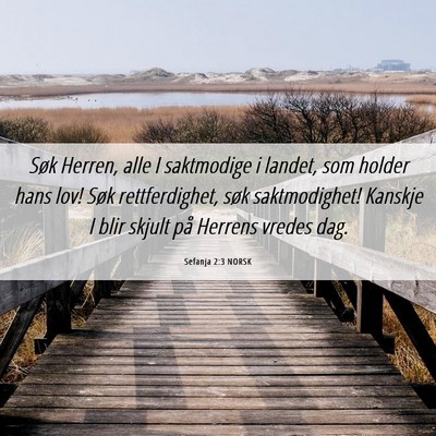 Picture 06 - Sefanja 2:3 NORSK - Søk Herren, alle I saktmodige i landet, som - Bible Verse Picture