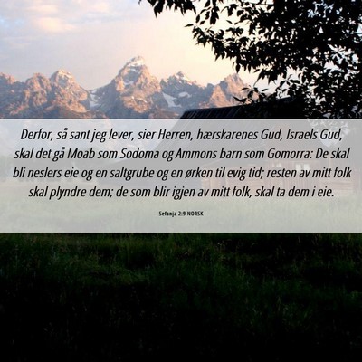 Picture 06 - Sefanja 2:9 NORSK - Derfor, så sant jeg lever, sier Herren, - Bible Verse Picture