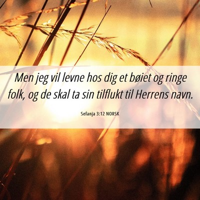 Picture 06 - Sefanja 3:12 NORSK - Men jeg vil levne hos dig et bøiet og ringe - Bible Verse Picture