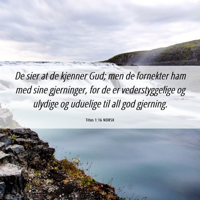 Picture 06 - Titus 1:16 NORSK - De sier at de kjenner Gud; men de fornekter ham - Bible Verse Picture