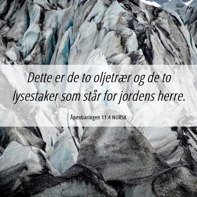 Picture 06 - Åpenbaringen 11:4 NORSK - Dette er de to oljetrær og de to lysestaker som - Bible Verse Picture