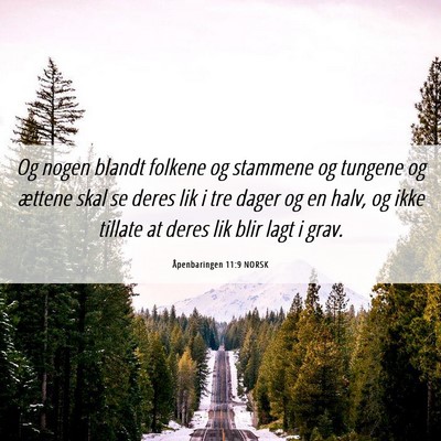 Picture 06 - Åpenbaringen 11:9 NORSK - Og nogen blandt folkene og stammene og tungene og - Bible Verse Picture