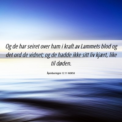 Picture 06 - Åpenbaringen 12:11 NORSK - Og de har seiret over ham i kraft av Lammets blod - Bible Verse Picture