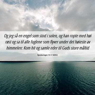 Picture 06 - Åpenbaringen 19:17 NORSK - Og jeg så en engel som stod i solen, og han - Bible Verse Picture
