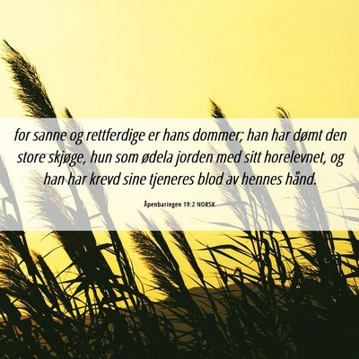 Picture 06 - Åpenbaringen 19:2 NORSK - for sanne og rettferdige er hans dommer; han har - Bible Verse Picture