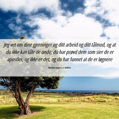 Picture 06 - Åpenbaringen 2:2 NORSK - Jeg vet om dine gjerninger og ditt arbeid og ditt - Bible Verse Picture