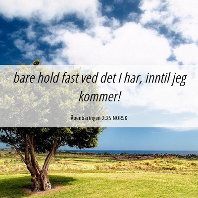 Picture 06 - Åpenbaringen 2:25 NORSK - bare hold fast ved det I har, inntil jeg - Bible Verse Picture
