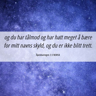 Picture 06 - Åpenbaringen 2:3 NORSK - og du har tålmod og har hatt meget å bære for - Bible Verse Picture
