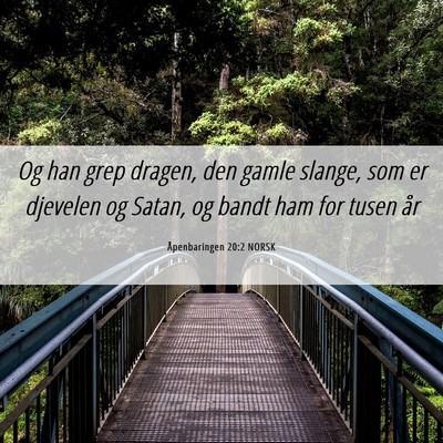 Picture 06 - Åpenbaringen 20:2 NORSK - Og han grep dragen, den gamle slange, som er - Bible Verse Picture