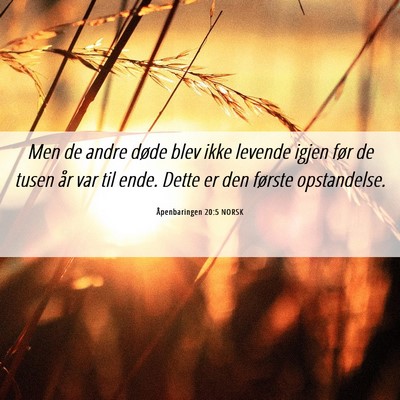 Picture 06 - Åpenbaringen 20:5 NORSK - Men de andre døde blev ikke levende igjen før - Bible Verse Picture