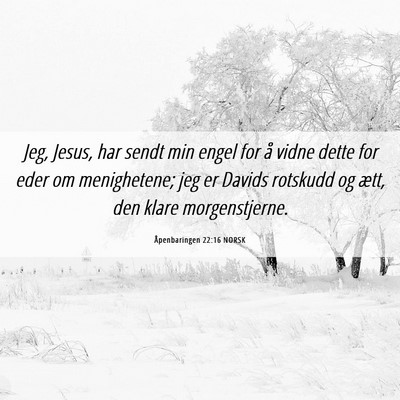 Picture 06 - Åpenbaringen 22:16 NORSK - Jeg, Jesus, har sendt min engel for å vidne - Bible Verse Picture