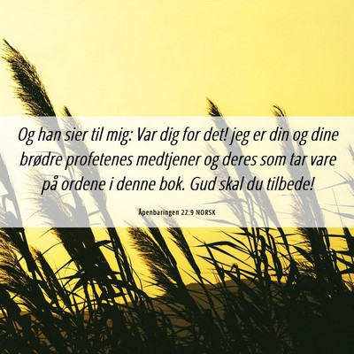 Picture 06 - Åpenbaringen 22:9 NORSK - Og han sier til mig: Var dig for det! jeg er din - Bible Verse Picture