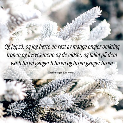 Picture 06 - Åpenbaringen 5:11 NORSK - Og jeg så, og jeg hørte en røst av mange - Bible Verse Picture
