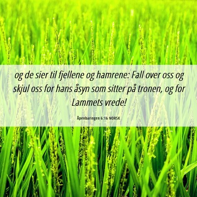 Picture 06 - Åpenbaringen 6:16 NORSK - og de sier til fjellene og hamrene: Fall over oss - Bible Verse Picture