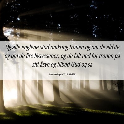 Picture 06 - Åpenbaringen 7:11 NORSK - Og alle englene stod omkring tronen og om de - Bible Verse Picture