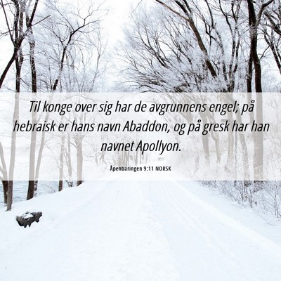 Picture 06 - Åpenbaringen 9:11 NORSK - Til konge over sig har de avgrunnens engel; på - Bible Verse Picture