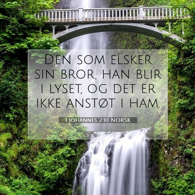 Picture 07 - 1 Johannes 2:10 NORSK - Den som elsker sin bror, han blir i lyset, og det - Bible Verse Picture