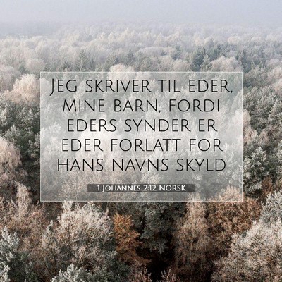 Picture 07 - 1 Johannes 2:12 NORSK - Jeg skriver til eder, mine barn, fordi eders - Bible Verse Picture