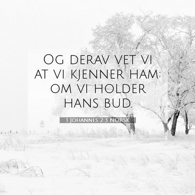 Picture 07 - 1 Johannes 2:3 NORSK - Og derav vet vi at vi kjenner ham: om vi holder - Bible Verse Picture