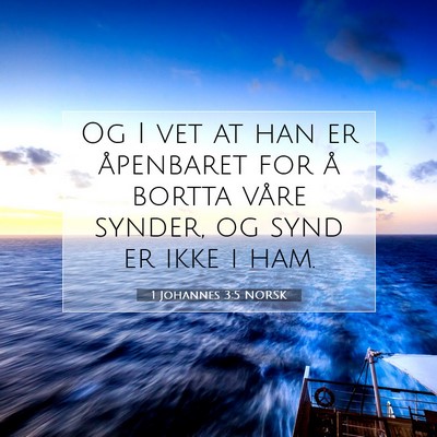 Picture 07 - 1 Johannes 3:5 NORSK - Og I vet at han er åpenbaret for å bortta våre - Bible Verse Picture