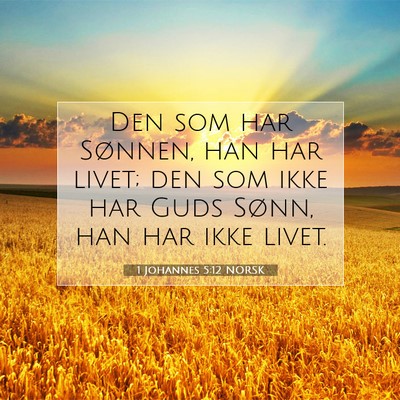 Picture 07 - 1 Johannes 5:12 NORSK - Den som har Sønnen, han har livet; den som ikke - Bible Verse Picture