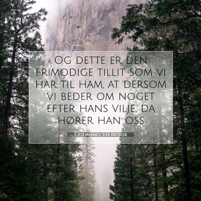 Picture 07 - 1 Johannes 5:14 NORSK - Og dette er den frimodige tillit som vi har til - Bible Verse Picture