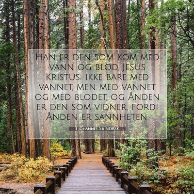 Picture 07 - 1 Johannes 5:6 NORSK - Han er den som kom med vann og blod, Jesus - Bible Verse Picture
