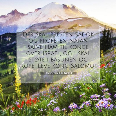 Picture 07 - 1 Kongebok 1:34 NORSK - Der skal presten Sadok og profeten Natan salve - Bible Verse Picture