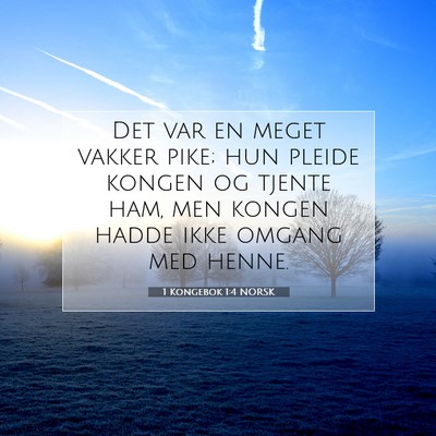 Picture 07 - 1 Kongebok 1:4 NORSK - Det var en meget vakker pike; hun pleide kongen - Bible Verse Picture