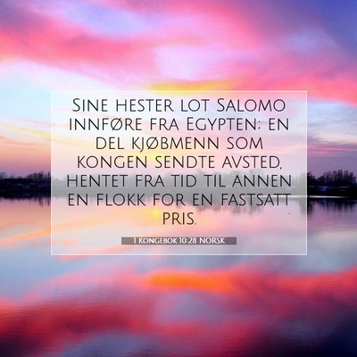 Picture 07 - 1 Kongebok 10:28 NORSK - Sine hester lot Salomo innføre fra Egypten; en - Bible Verse Picture