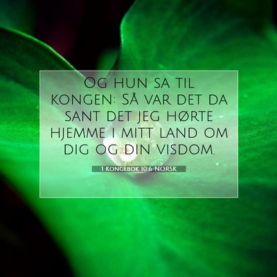 Picture 07 - 1 Kongebok 10:6 NORSK - Og hun sa til kongen: Så var det da sant det jeg - Bible Verse Picture