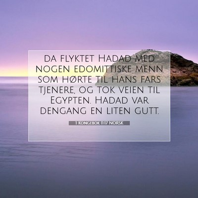 Picture 07 - 1 Kongebok 11:17 NORSK - da flyktet Hadad med nogen edomittiske menn som - Bible Verse Picture