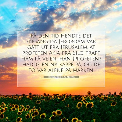 Picture 07 - 1 Kongebok 11:29 NORSK - På den tid hendte det engang da Jeroboam var - Bible Verse Picture