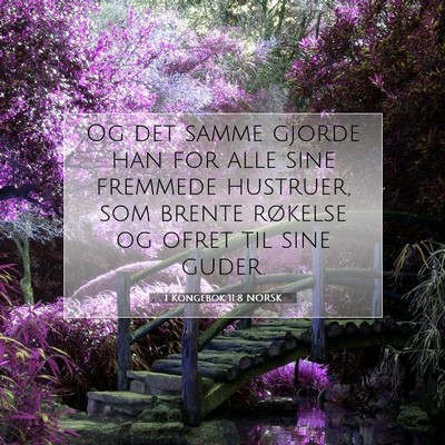Picture 07 - 1 Kongebok 11:8 NORSK - Og det samme gjorde han for alle sine fremmede - Bible Verse Picture