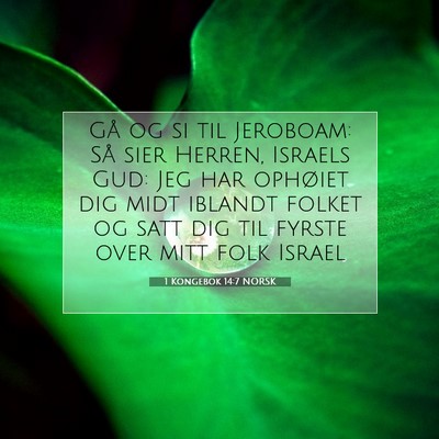 Picture 07 - 1 Kongebok 14:7 NORSK - Gå og si til Jeroboam: Så sier Herren, Israels - Bible Verse Picture