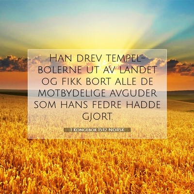 Picture 07 - 1 Kongebok 15:12 NORSK - Han drev tempel-bolerne ut av landet og fikk bort - Bible Verse Picture