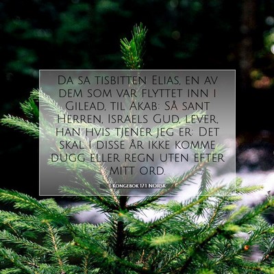 Picture 07 - 1 Kongebok 17:1 NORSK - Da sa tisbitten Elias, en av dem som var flyttet - Bible Verse Picture
