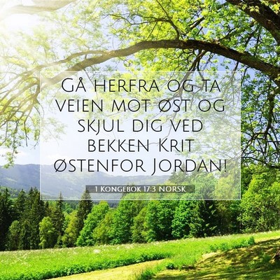 Picture 07 - 1 Kongebok 17:3 NORSK - Gå herfra og ta veien mot øst og skjul dig ved - Bible Verse Picture